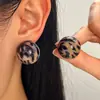 Pendientes CCB retro transfronterizos de Europa y Estados Unidos, adecuados para mujeres con temperamento creativo, pendientes C retro, pendientes de leopardo altos, venta al por mayor