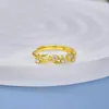 Anel Coroa de Cupido em Prata de Lei S925 para Mulheres com Pontos de Zircônia, Ramos de Flores e Folhas com Diamantes, Anel Vivo, Joia de Mão, Fabricante, Atacado Ht