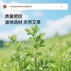 Haishi Hainuo Ai Zhicheng Ling Duo Mug de Moxabustão de Sete Dias Artemísia Moxa Suspensão Pote Pequeno de Moxabustão para Casa