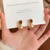 Set de Pendientes Otoño e Invierno Pendientes Retro Maillard Piedra Ojo de Tigre Pendientes Versátiles Personalizados Pendientes de Ámbar para Mujer