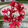 Oferta especial tema rojo grande boda flor artificial al por mayor rojo chino escenario camino fila de flores base decoración flor falsa