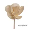Xiangmanwu DIY Difusor de Aroma Flores Secas Adornos de Flores Secas para Hotel Habitación Modelo de B&B Flores Difusoras de Aceite Esencial