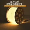 Tira de Luces LED para Iluminación de Línea de Techo en Casa 220V Impermeable para Exteriores Proyecto Tira de Luz Flexible Cob para Exteriores Regulable