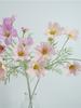 Pequeñas flores frescas naturales rama única cosmos princesa decoración del hogar arreglo floral adornos boda paisajismo floral