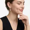 Aretes de Plata Cruzada S925 Corazón Moissanita Gato Forma de Pera Forma de Calabaza Aretes Largos con Borla En Stock Venta al por Mayor