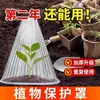 Cubierta protectora para plantas, verde, protege las plántulas de los pájaros, reutilizable, cubierta en forma de campana