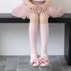 Calcetines de Algodón Calados Ultra Delgados para Niñas, Malla Transpirable Estilo Coreano Retro Calcetines de Pantorrilla para Chicas Ins