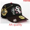 Gorra de Béisbol al por Mayor de Comercio Exterior 2026 con Bordado 3D, Calidad Aa, Ajustable, Sombrero para el Sol de Alta Calidad, Venta al por Mayor de Una Pieza