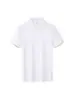 Camisa Polo de Algodón de Alta Gama con Logo Impreso Personalizado Cuello Solapa Color Sólido Camisa Cultural Uniforme de Clase t Verano Manga Corta Ropa de Trabajo Camiseta