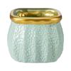 Maceta de Plástico Imitación Cerámica Estilo Nórdico Personalidad Creativa Borde Dorado Pothos Maceta para Suculentas Jarrón Retro Fabricante Venta al por Mayor