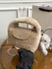 Bolso Cuadrado Pequeño de Lana de Cordero Estilo Coreano Transfronterizo para Mujer Otoño 2026 Nuevo Bolso Cruzado de Hombro Casual de Alta Gama