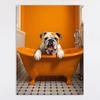 Moda moderna yak póster de baño lienzo pintura decorativa gatito baño de burbujas pintura colgante Amazon entrega en una pieza
