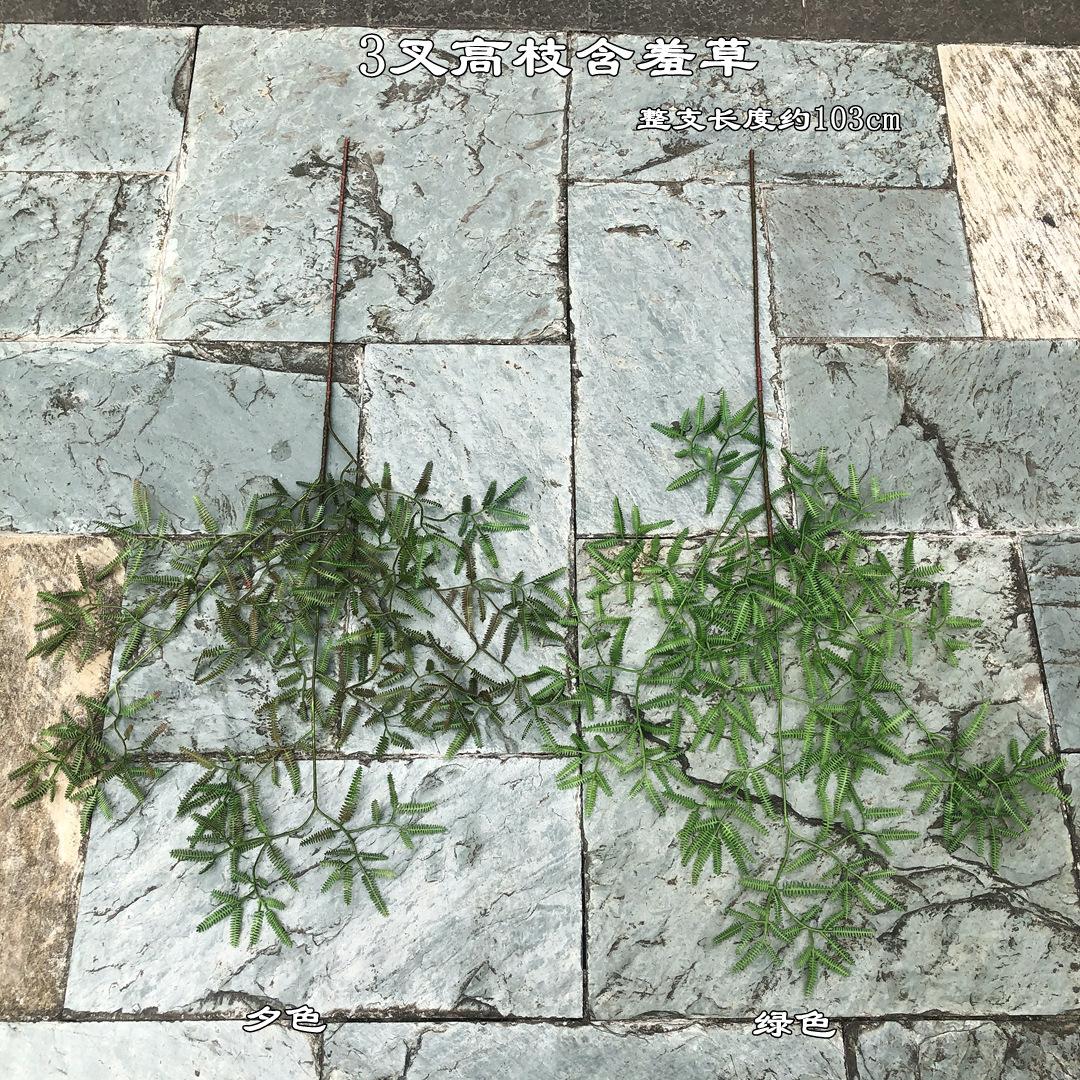 微信图片_20210630130720_副本.jpg