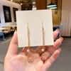 Aretes de Celebridad Popular de Internet Temperamento Puesto Callejero Mercado Nocturno Suministro Aretes para Mujer Aretes de Moda Coreana Aretes de Lujo Ligero de Alta Gama Venta al por Mayor
