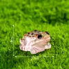 Paisagem Micro Criativa de Novo Produto Transfronteiriça Sapos, Sapos e Lagartos Pequenos que Brilham no Escuro Acessórios de Decoração para Paisagismo DIY Pequenos Ornamentos