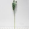 Mei Rui pequeña rama Guanyin loto simulación plantación césped artificial planta verde decoración del hogar proyecto arreglo floral fábrica al por mayor nuevo