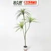 Zhiduoya Árvore Sangue de Dragão Artificial Planta Verde Múltipla Marca Venda Direta Ornamento Decorativo de Planta Verde Artificial