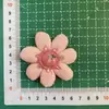 Nuevo Bordado de Tela Hecho a Mano, Flores Bordadas con Cuentas, Colgantes Estéreo DIY, Accesorios para el Cabello, Bolsos, Bufandas, Accesorios, Accesorios de Ropa
