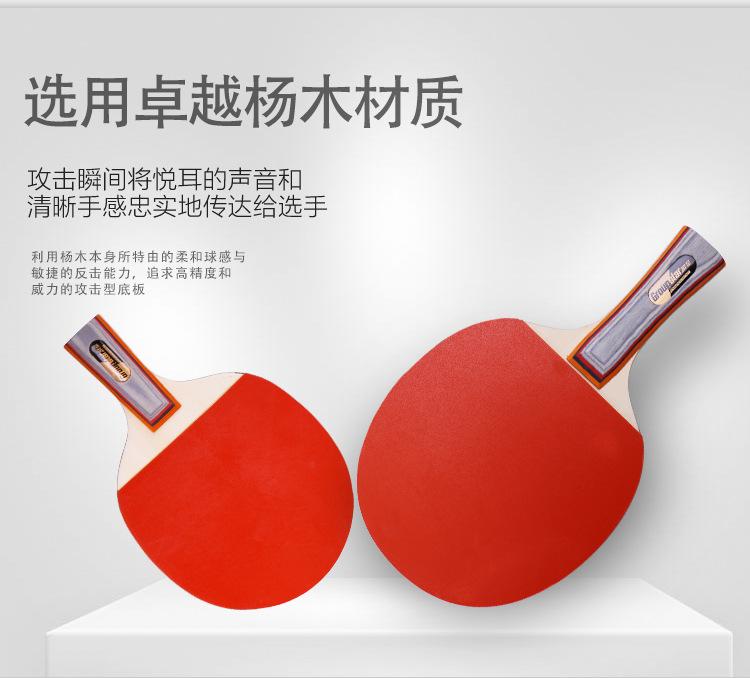 乒乓球拍GS6121_09