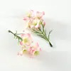 Cabezas de Flores Mixtas Boda DIY Hechas a Mano Artificiales Falsas Flores Decoración Coloridas Flor de Cinco Pétalos Pared de Flores Arreglo Accesorios Flores Materiales de Flores