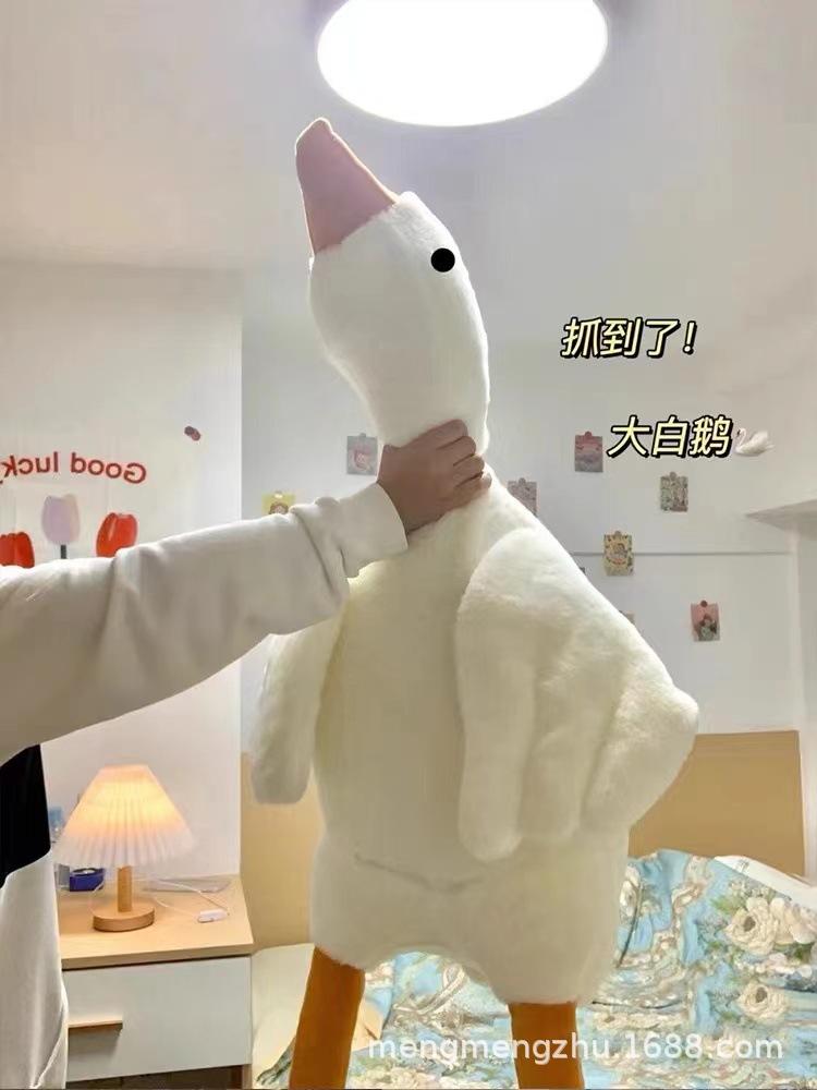 微信图片_20211126203030.jpg
