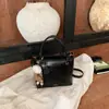 Bolsa Cruzada Popular Versátil de Nueva Temporada Otoño Invierno Transfronteriza Super Caliente Estilo Cubo Marrón Melamina Retro Bolso Pequeño para Mujer