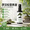 Solução nutritiva especial para Podocarpus macrophyllus promove o crescimento, fortalece as mudas, deixa as folhas robustas, previne o amarelamento, o ressecamento, o apodrecimento das raízes, o crescimento lento e a fertilização