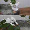 Creativo macetero hidropónico de cobre para plantas de dinero, utensilios, plantas suculentas en maceta, animales lindos, pato, pecera, adornos para paisajismo