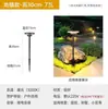 Luz de gramado LED conexão de energia externa luz de grama luz paisagística moderna minimalista para jardim pátio luz decorativa de jardim