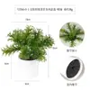 Más de 100 Tipos de Combinaciones de Plantas Suculentas Mini de Plástico Simuladas en Maceta, Mini Bonsáis Suculentos Más Vendidos Transfronterizos, Decoración para el Hogar, Adornos Creativos