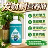 Adubo para Árvore da Fortuna Adubo Especial Plantas Verdes Plantas de Interior Domésticas Plantas em Vasos Hidroponia Folhas Amareladas Murchas Solução Nutritiva Universal Fertilizante Solúvel em Água