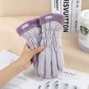 Guantes Cálidos Invierno para Mujer Pantalla Táctil Terciopelo Engrosado Impermeable A Prueba de Frío A Prueba de Viento Ciclismo al Aire Libre Estudiante Guantes de Esquí