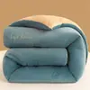 Colcha de terciopelo de leche de doble cara grado A bordada para primavera y otoño, engrosada 5 kg, núcleo de algodón cálido, manta de invierno para dormitorio individual