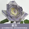 Tinta Spray para Flores, Corante Azul Gelo Triturado Ameixa, Flor de Sabão, Flor Seca, Spray de Arte Floral, Suprimentos para Floricultura Atacado