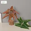 Planta Verde Artificial 9 Cabezas Malanga Silvestre Lirio de Calas Decoración del Hogar Accesorio de Fotografía Modelo de Hoja Octagonal Decoración de Habitación Syngonium
