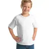 Camiseta de verão para crianças gola redonda acampamento ao ar livre secagem rápida respirável camiseta para rafting tecido tipo algodão 160g amigo da pele fábrica