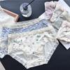 Liquidación Ropa Interior Femenina de Encaje de Seda Pura Hielo Malla Transparente Sexy Linda de Cintura Baja