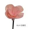Xiangmanwu DIY Difusor de Aroma Flores Secas Adornos de Flores Secas para Hotel Habitación Modelo de B&B Flores Difusoras de Aceite Esencial