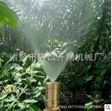 QQ图片20180325192626.jpg