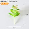 Suculentas artificiais personalizadas, decorações com plantas verdes, pequenos enfeites de cactos para escritórios e interiores, plantas em vasos e bonsai por atacado.