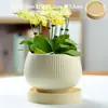 Vaso de Cerâmica para Flores com Prato, Estilo Ins de Luxo Leve, Diâmetro Grande, Estilo Creme, para Orquídeas e Suculentas, Liquidação