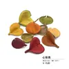 Pinha Chips de Madeira Bolota Materiais Secos Foto Frame de Planta DIY Artesanal Pacote de Material de Flor Seca Decoração de Exibição