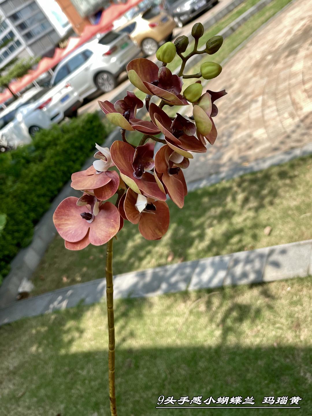 微信图片_20210724103042_副本.jpg