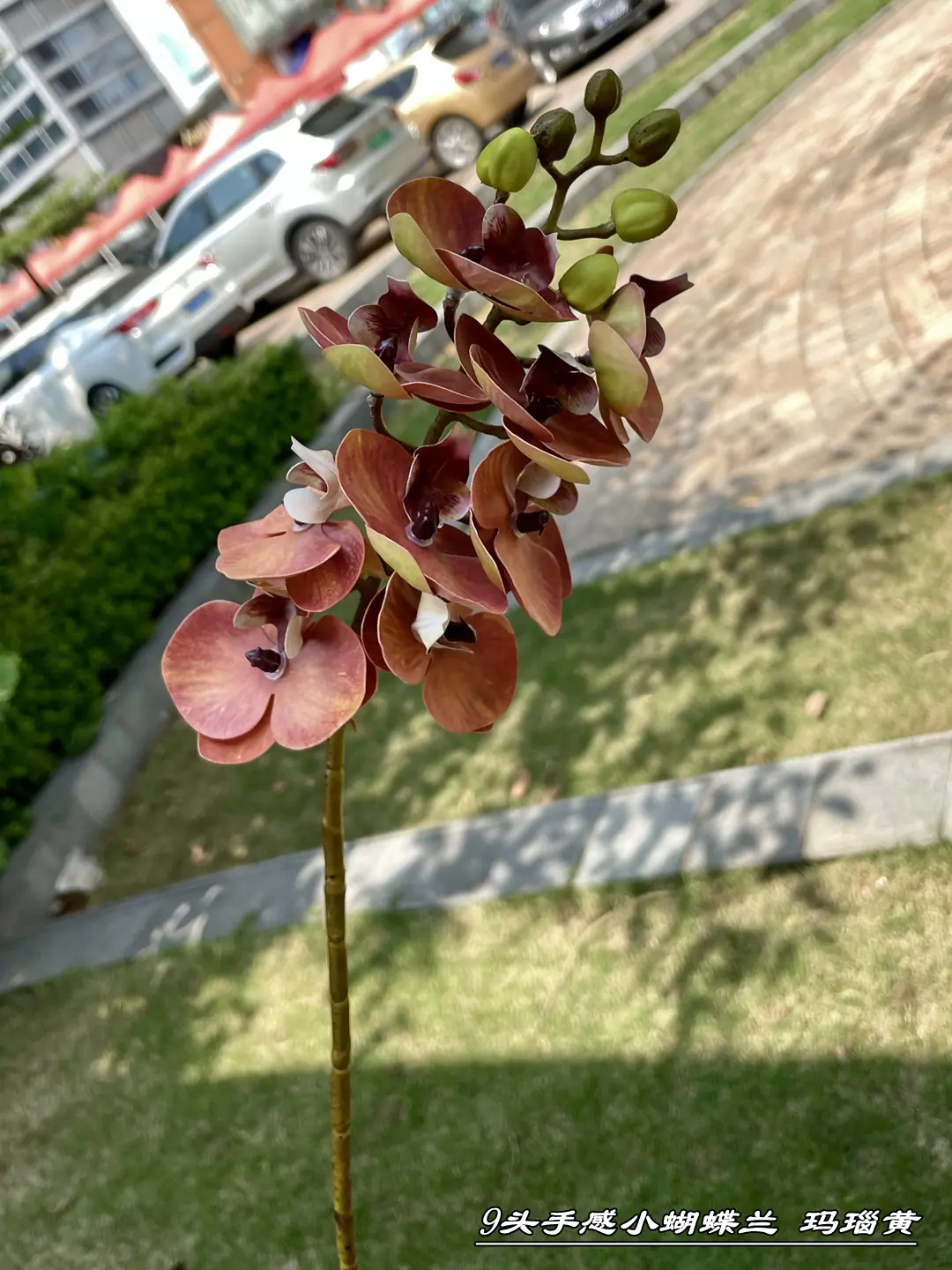 微信图片_20210724103042_副本.jpg