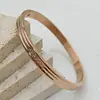 Pulseira de Aço Titânio Banhada a Ouro de Alta Qualidade Transfronteiriça para Meninas Nicho Diamante Gipsofila Não Desbota Estilo Ins Pulseira Atacado