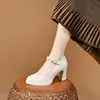 Sapatos de salto grosso de tira única salto alto 2026 Outono Novo Estilo Confortável Impermeável Plataforma Solado Grosso Aumento de Altura Trabalho Sapatos de Couro Feminino