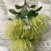 Decoração de casamento Studio Pin Flower da Estrada das Flores Imperiais material de arranjo mesa de jantar em casa flores artificiais de plástico