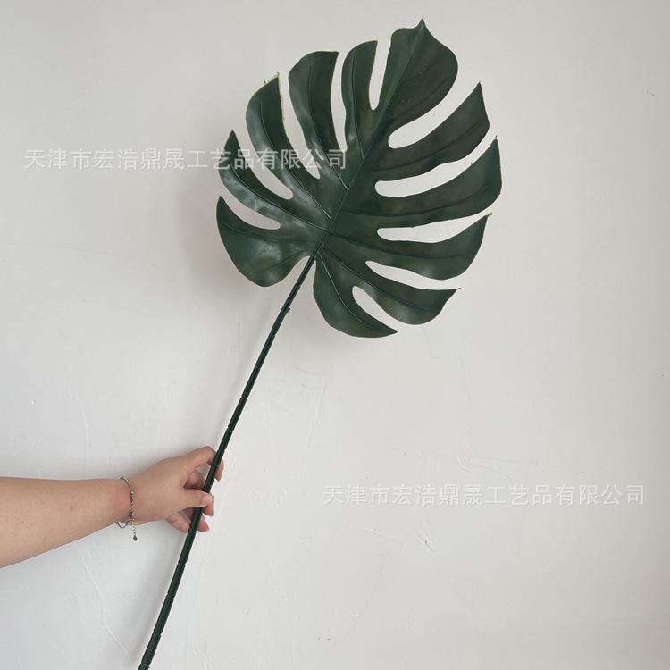 微信图片_202208091601422_副本