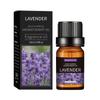 Óleo Essencial de Aromaterapia Desodorizante Transfronteiriço 10ml Máquina de Aromaterapia para Interior Fragrância Duradoura Óleo Essencial de Lavanda para Massagem