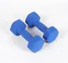 Venda Direta de Fábrica Halteres Sólidos de Ferro Fundido com Pintura Eletrostática Fitness Hexagonais Pequenos Halteres Coloridos Antiderrapantes Equipamento de Yoga Atacado